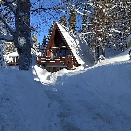 Snowdream *